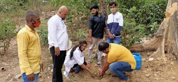 Tree plantation 2021