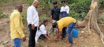 Tree plantation 2021