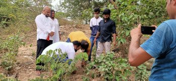 Tree plantation 2021