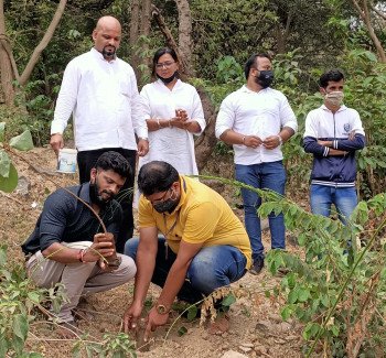 Tree plantation 2021