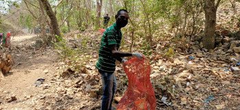 Clean jungle project with team 2021